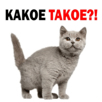 asoxxraK.жипег