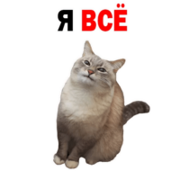 c3tICWIj.жипег