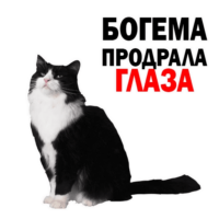 gesLiSqc.жипег