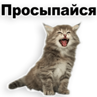 ju9yi9oV.жипег