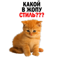 sMdpnMBK.жипег
