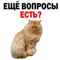 vFgENNJR.жипег