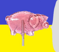 bClyAQNA.жипег