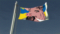 vwBorvqi.жипег