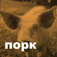 xMn7fhcI.жипег