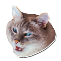4WzfWIGv.жипег