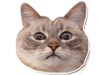IqjzH0hs.жипег