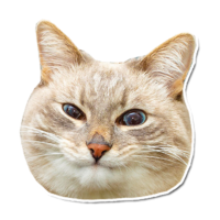 ahgTqKKS.жипег