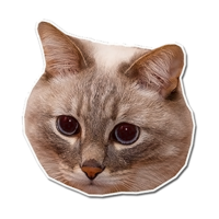 fzmIACOX.жипег
