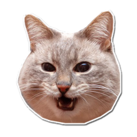 vyPzGkIE.жипег