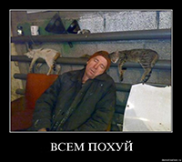 L8QvWs7l.жипег