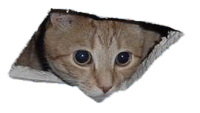 sEaOUhPy.жипег