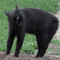 2shHDh6e.жипег