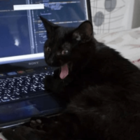 FOaswUv9.жипег