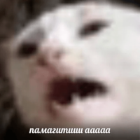 PuXbzGRl.жипег