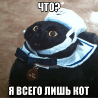 TXaEoDVs.жипег