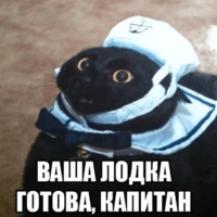 XzSXfSNx.жипег