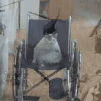 w6Qkwd2X.жипег
