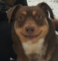 jjQv3WRa.жипег