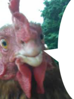 sEG4JFNs.жипег