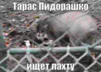 K2hmKoGq.жипег