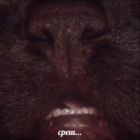 Vs8yMRbw.жипег