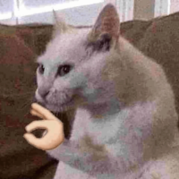 wikwvylB.жипег