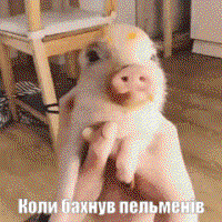 8tTUiIM2.жипег