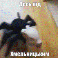 ECRCTgpm.жипег