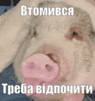 aAFSPpwv.жипег
