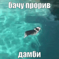 eKUINmcR.жипег