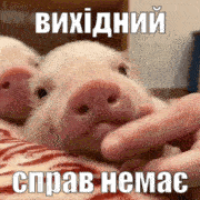 llFskGwJ.жипег