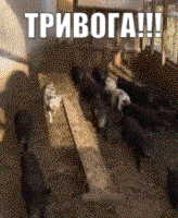 pefOp2dT.жипег