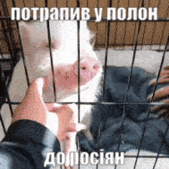 sANR4tI4.жипег