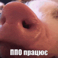 wigJz5ej.жипег