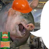 UkI0b3h9.жипег