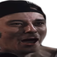 cDsxPm1g.жипег