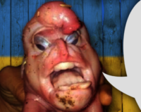 LMpmWfmB.жипег