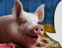 OqH9fYvU.жипег