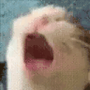 bBWQniAq.жипег