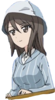 160x288