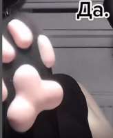 297x362