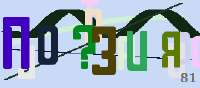 270x120