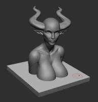 877x905
