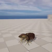720x720