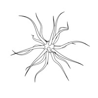 1080x1080