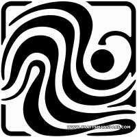 800x800