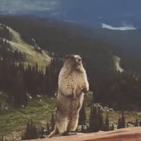 360x360
