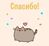 600x562