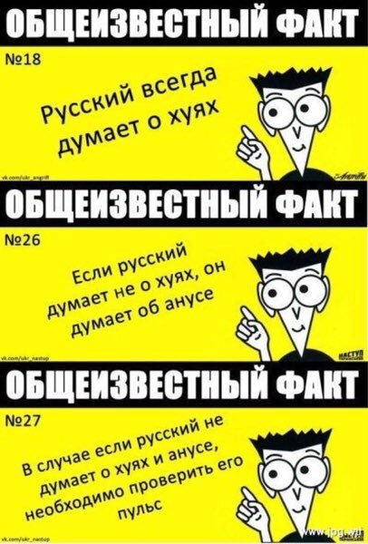 406x600